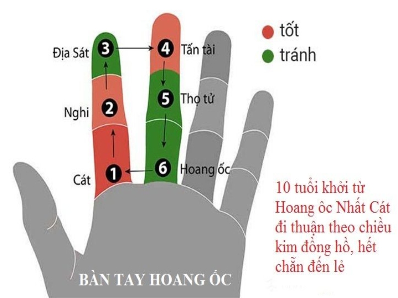 Tuổi Giáp Dần làm nhà năm 2024 có phạm Hoang Ốc không?