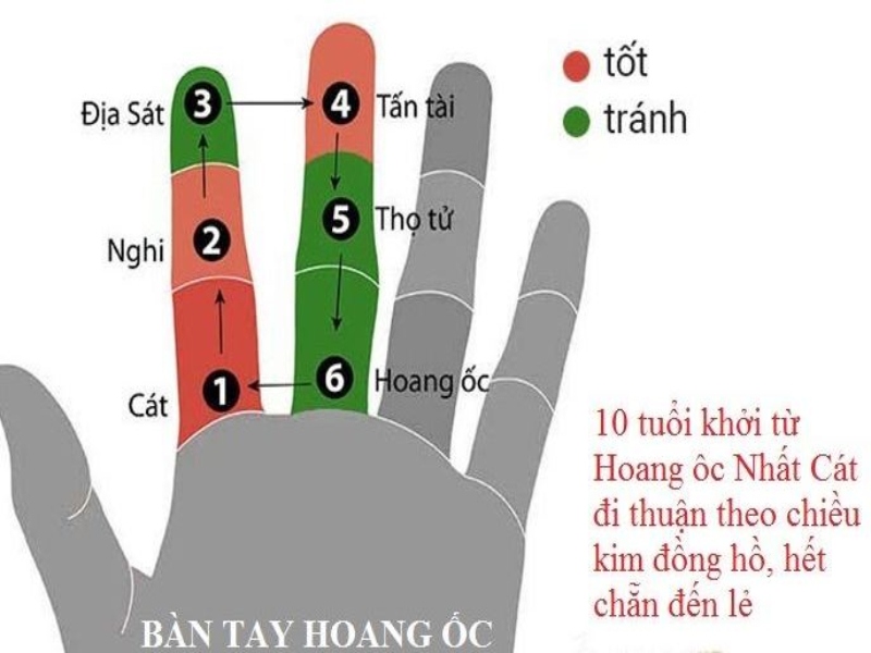 Tuổi Tân Dậu năm 2024 có làm nhà được không? Có phạm hoang ốc không?