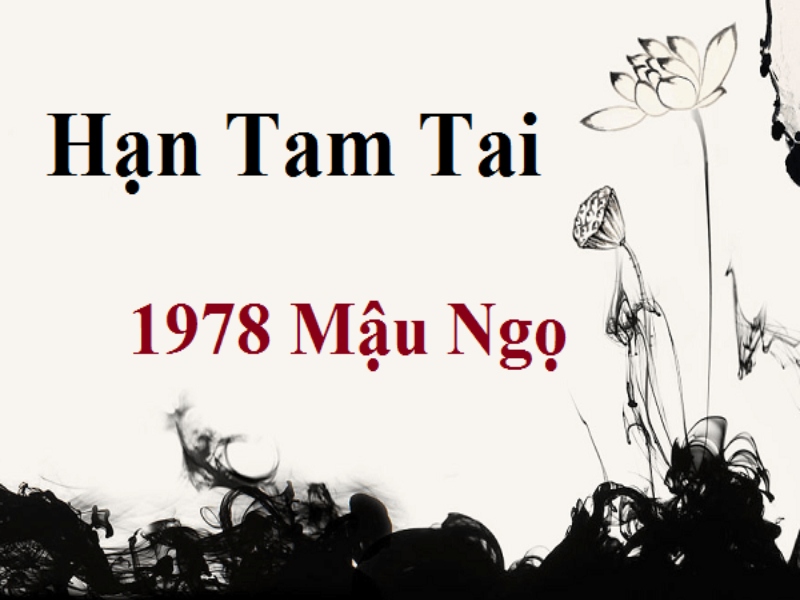 Tuổi Mậu Ngọ 1978 Xây Nhà Năm 2024: Bí Quyết Thành Công Và Phong Thủy Tốt Nhất